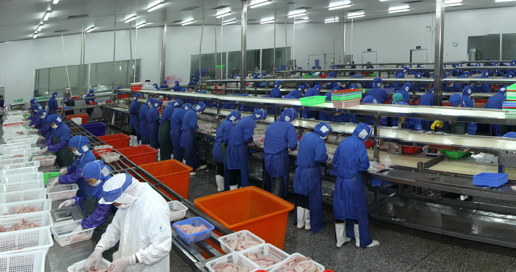 百洋产业投资集团 从水产加工到食品全产业链的领航者